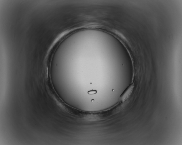 X0000086751414200705041418