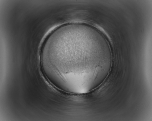 X0000086751416200705041418