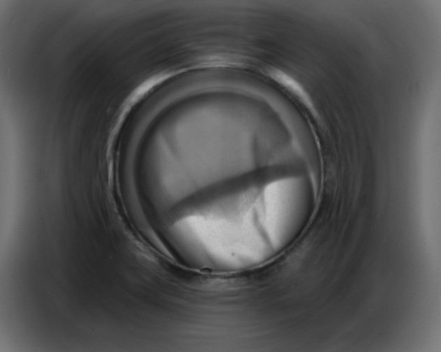 X0000086751419200705041418