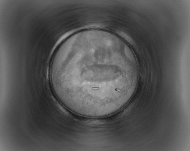 X0000086751420200705041418