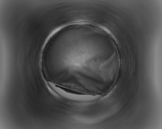 X0000086751421200705041418