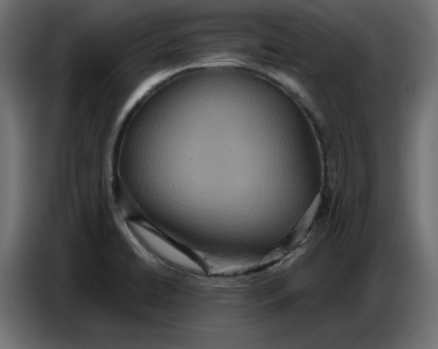 X0000086751422200705041418