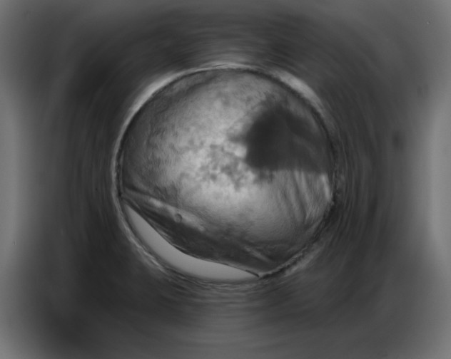 X0000086751423200705041418