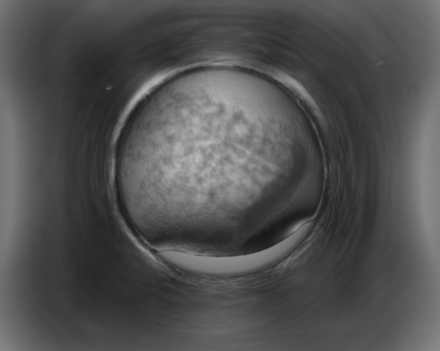 X0000086751424200705041418