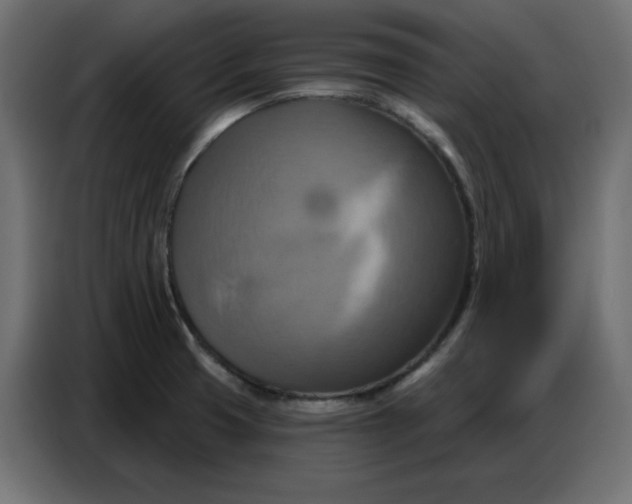 X0000086751425200705041418