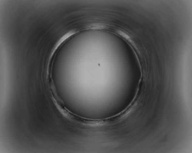 X0000086751426200705041418