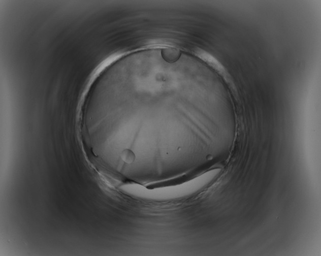 X0000086751427200705041418