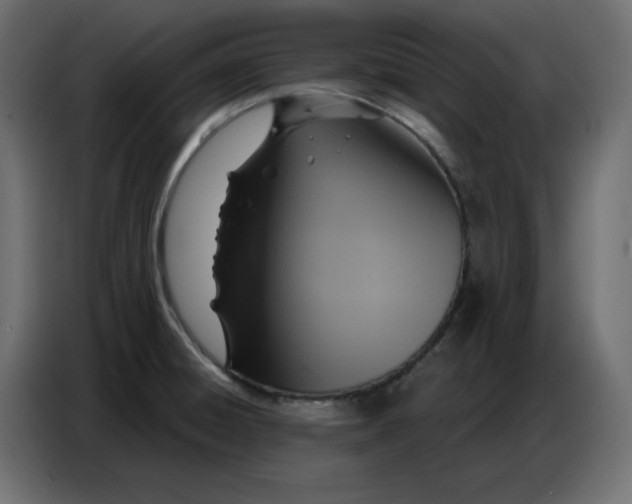 X0000086751428200705041418