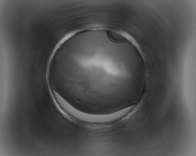 X0000086751429200705041418