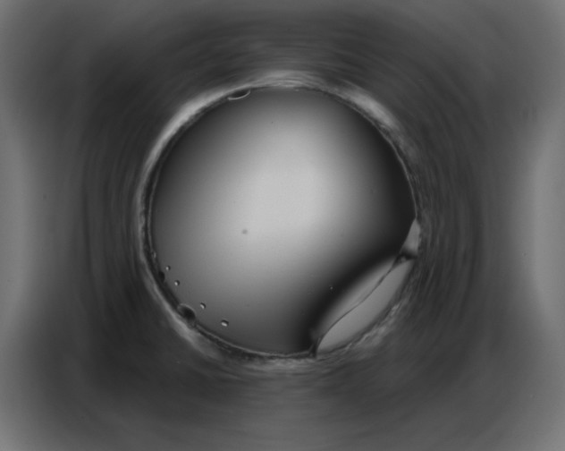 X0000086751430200705041418