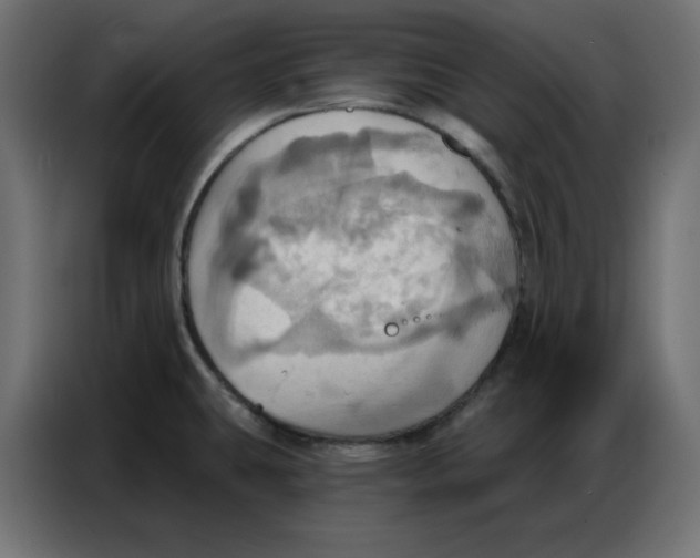 X0000086751431200705041418