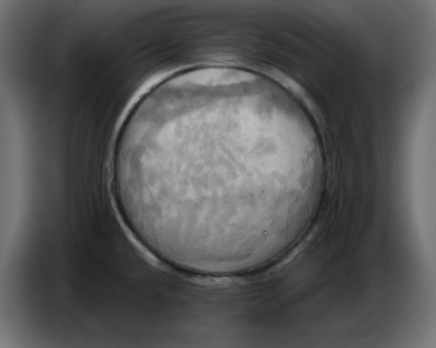 X0000086751432200705041418