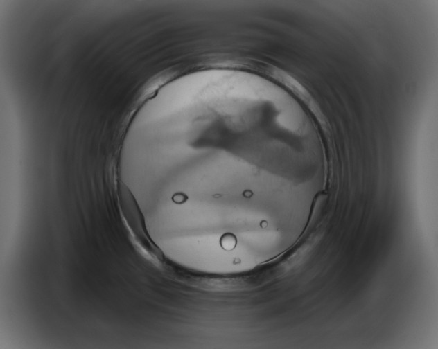 X0000086751433200705041418