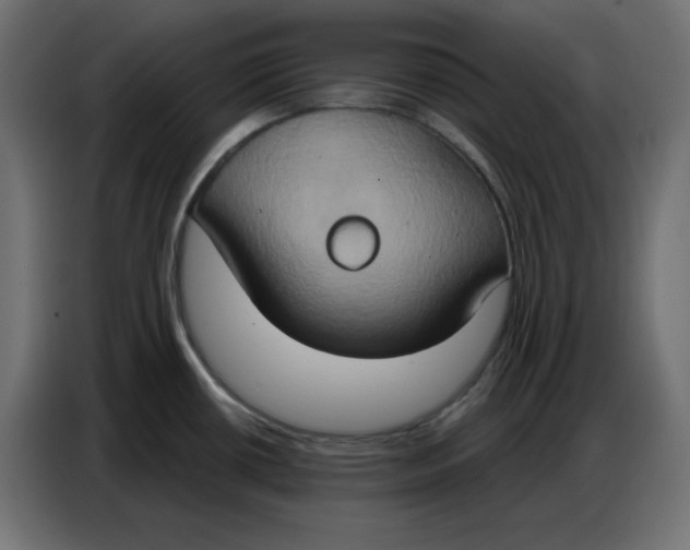 X0000086751434200705041418