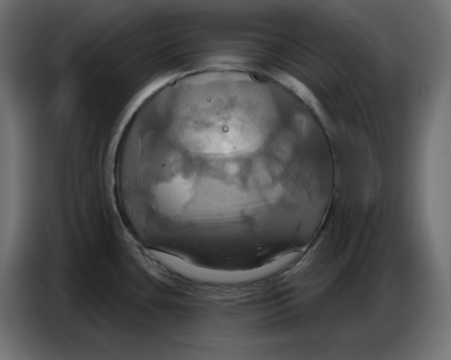 X0000086751435200705041418