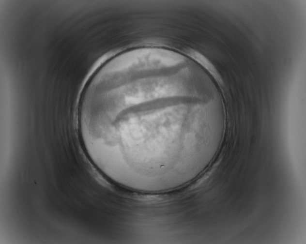 X0000086751436200705041418