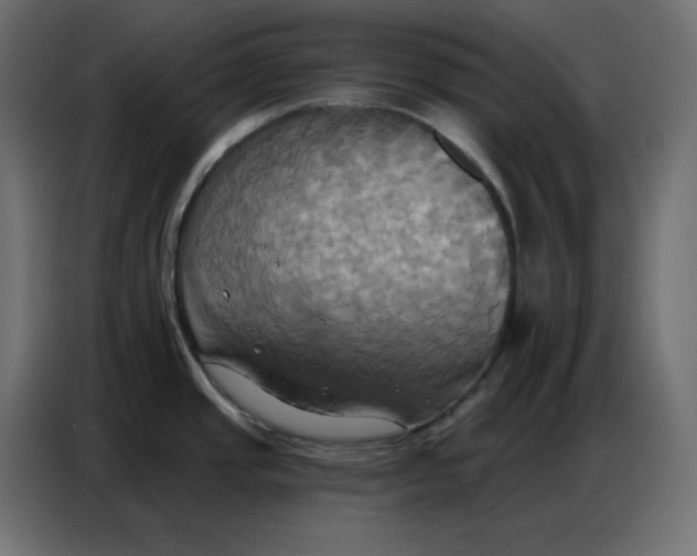 X0000086751437200705041418