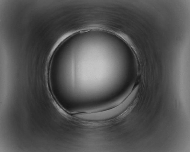 X0000086751438200705041419