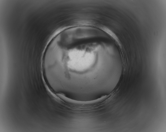 X0000086751439200705041419