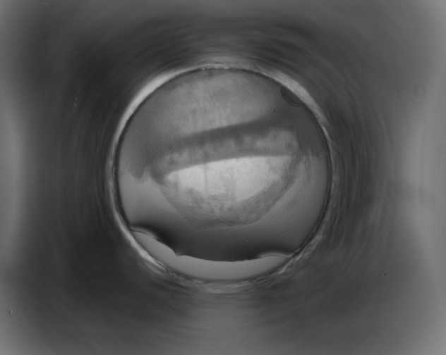 X0000086751440200705041419