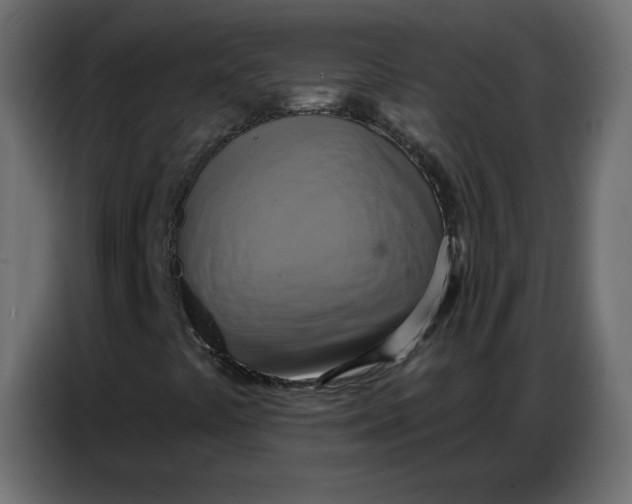 X0000086751441200705041418