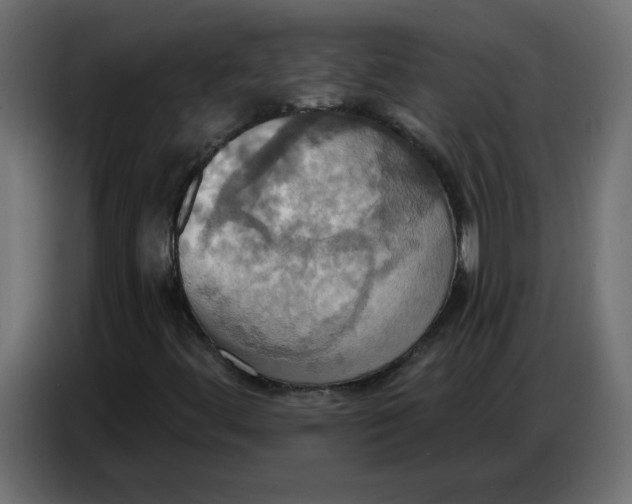 X0000086751444200705041418