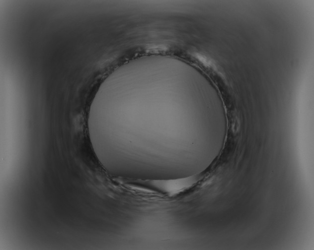 X0000086751445200705041418