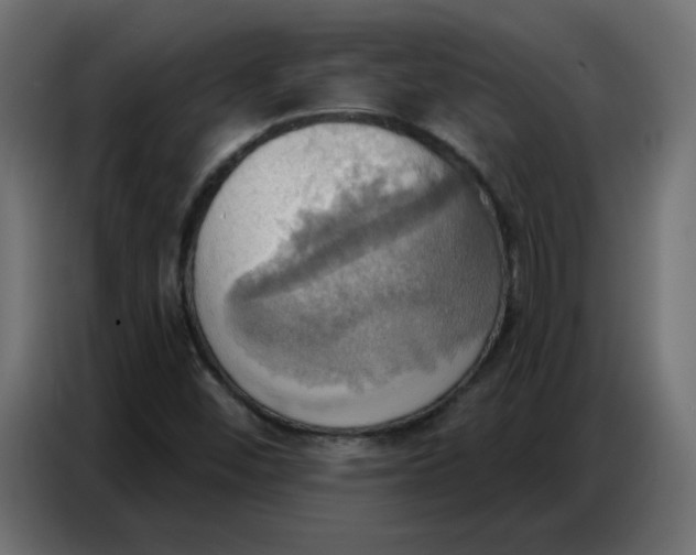 X0000086751452200705041418