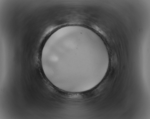 X0000086751454200705041418