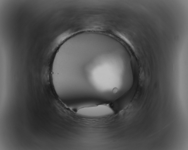 X0000086751455200705041418