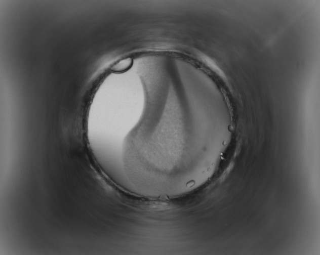 X0000086751456200705041418