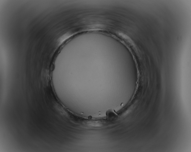 X0000086751457200705041418