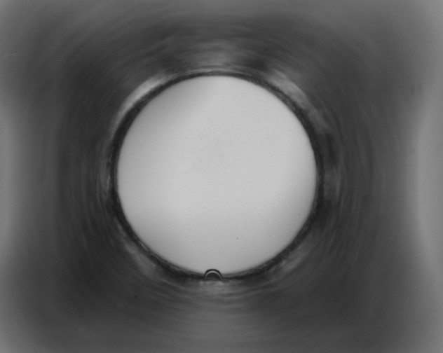 X0000086751458200705041418