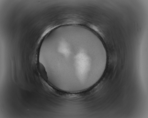 X0000086751459200705041418