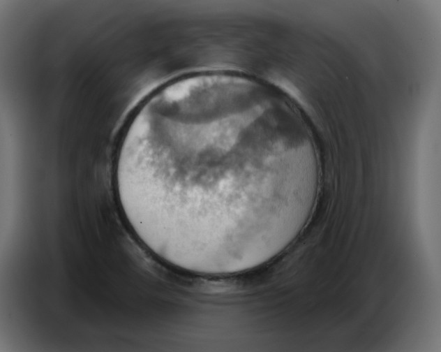 X0000086751460200705041418