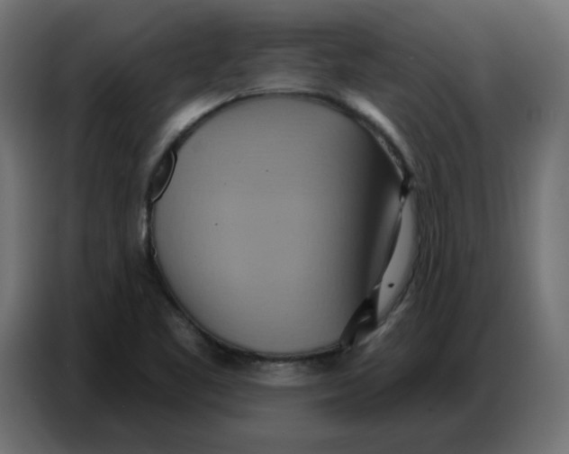 X0000086751461200705041418