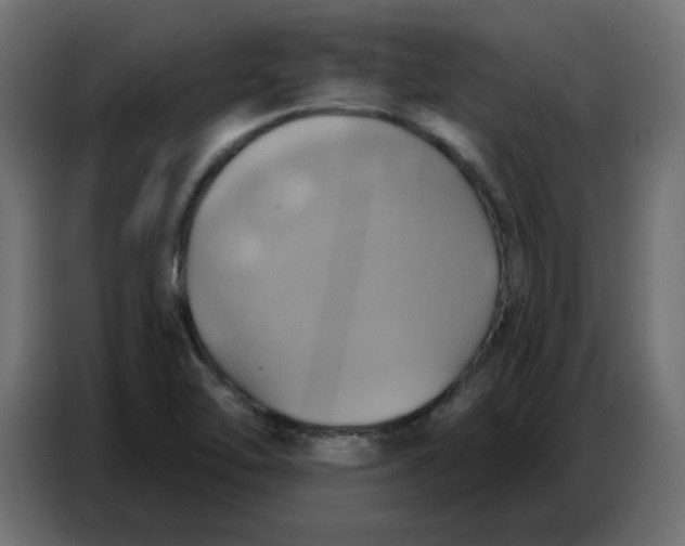 X0000086751462200705041418