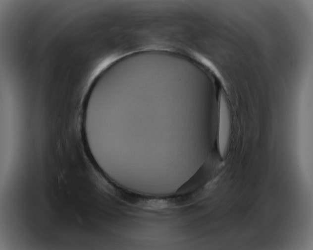 X0000086751463200705041418