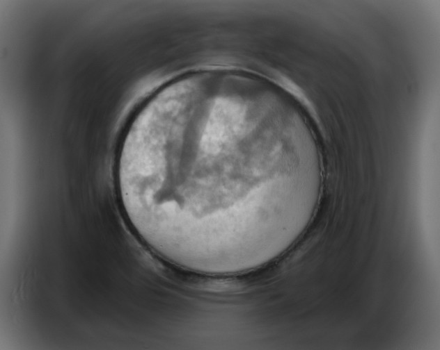 X0000086751464200705041418