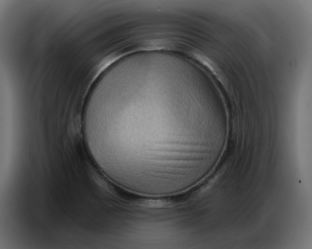 X0000086751465200705041418