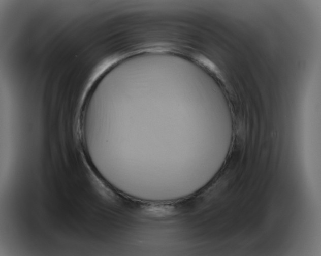 X0000086751466200705041418