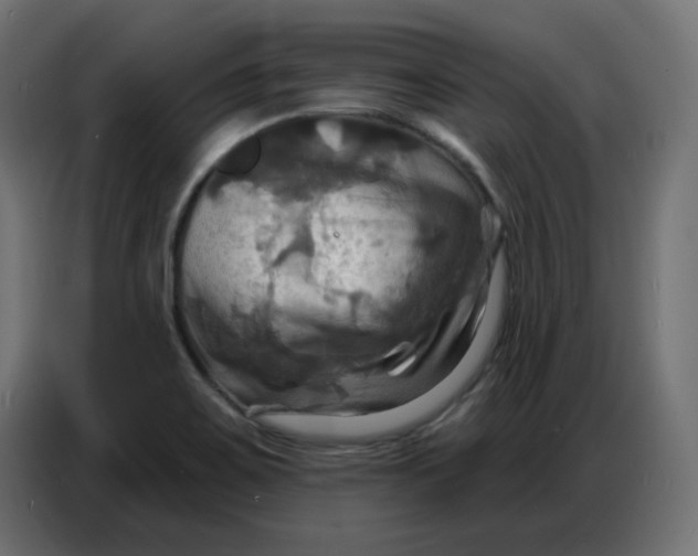 X0000086751467200705041418