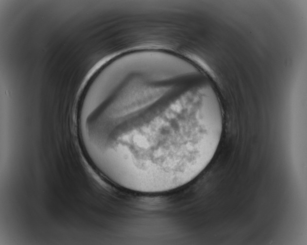 X0000086751468200705041418