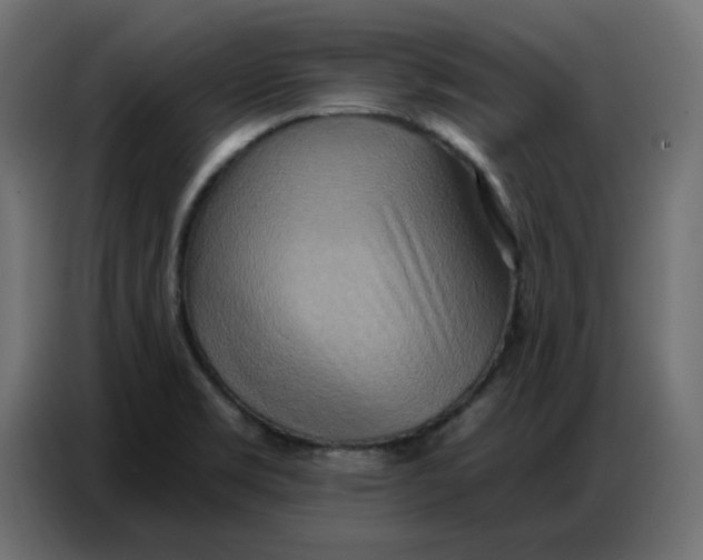 X0000086751469200705041418