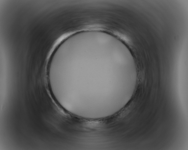 X0000086751470200705041418