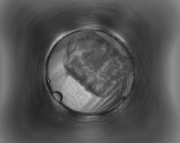 X0000086751471200705041418