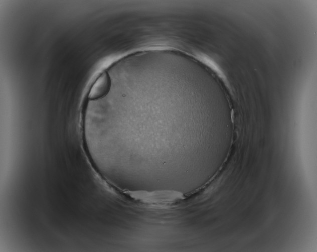 X0000086751472200705041418