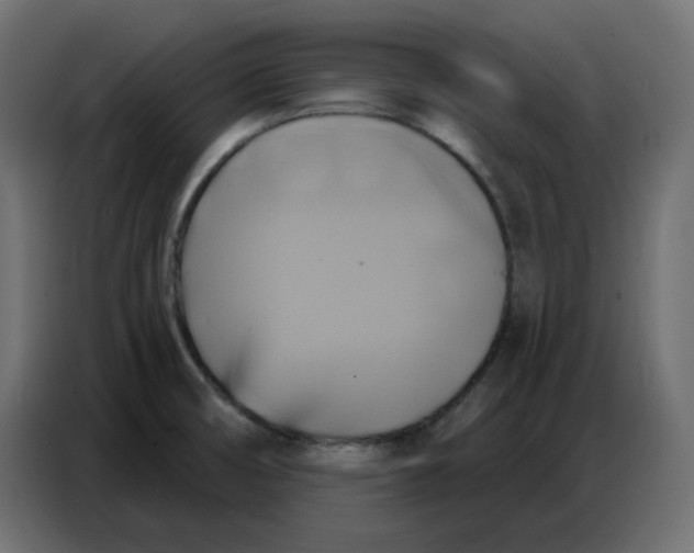 X0000086751474200705041417