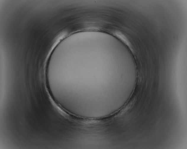 X0000086751475200705041417