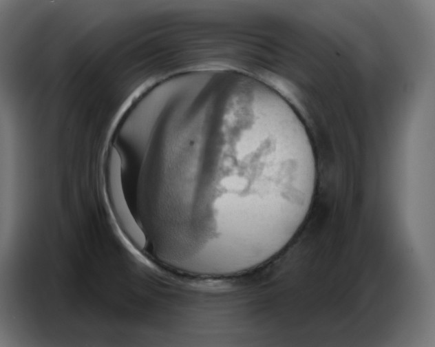 X0000086751476200705041417